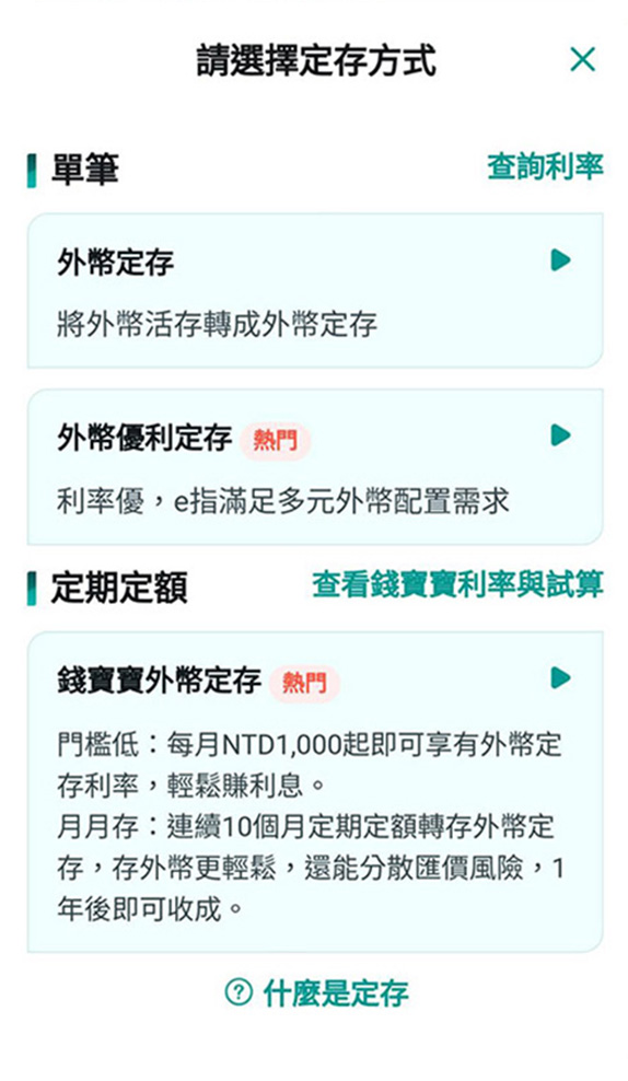 STEP 4 選擇「定期定額-錢寶寶定存」