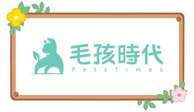 毛孩時代