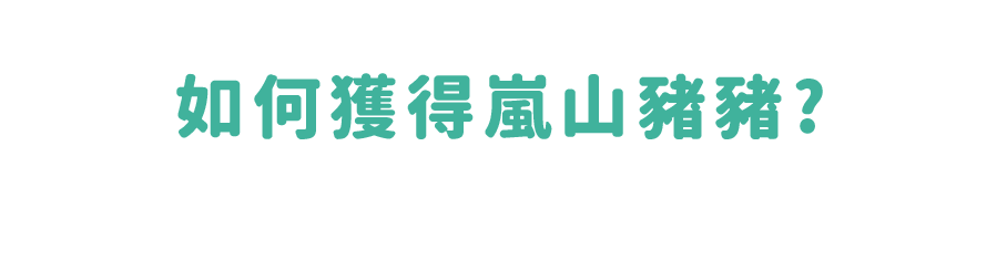 中國信託 嵐山豬豬