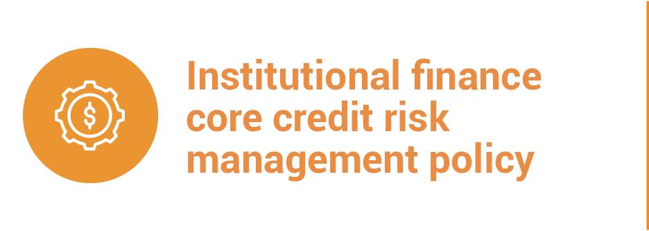 Institutional Finance Core Credit Risk Management Policy