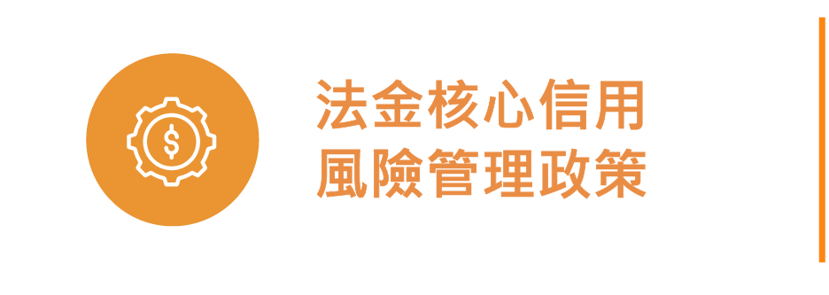 法金核心信用風險管理政策